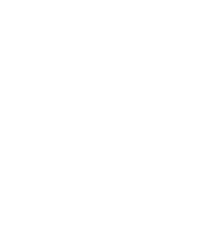 Fênix Airsoft